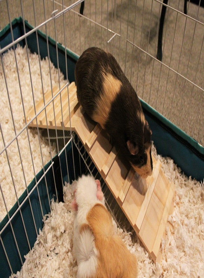 Pulse Brands Wood Bridge for Small Animal Cage or Habitat - Guinea Pigs, Ferrets, Chinchillas, Hedgehog, Dwarf Rabbits and Other Small Animals - Image 5